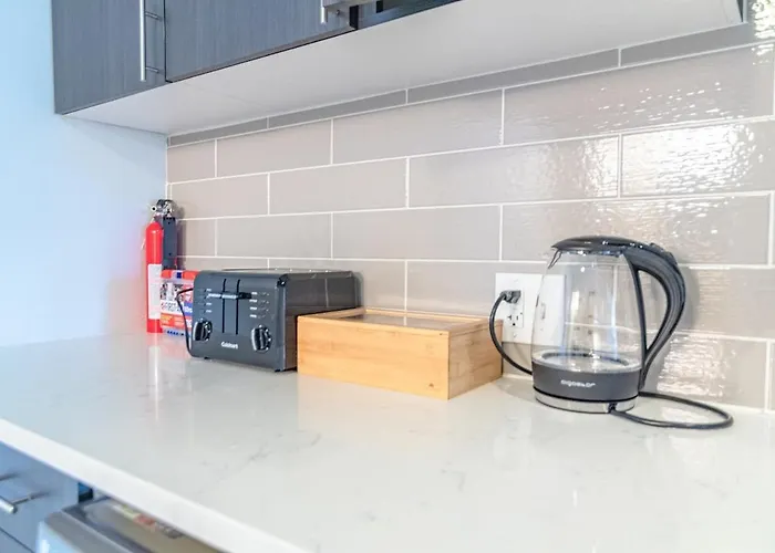 Mccormick Place Huge 2br Cozy Loft With Optional Parking Sleeps 8 Near Soldier Field And Grant Park Appartement Chicago